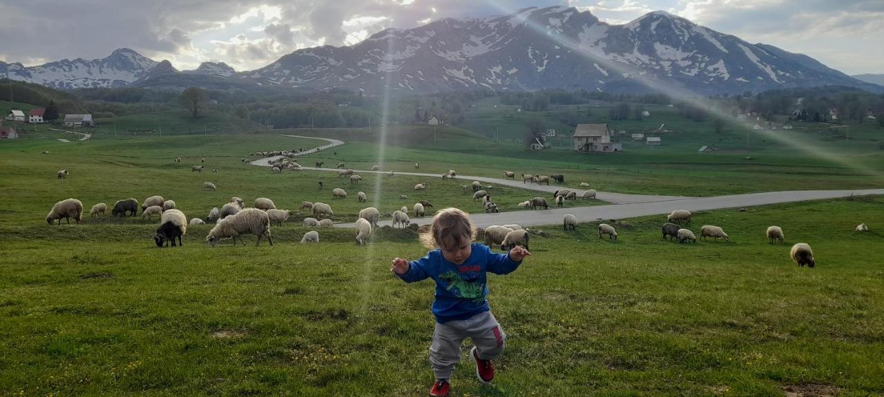 Organic Family Farm Hotell Žabljak Exteriör bild