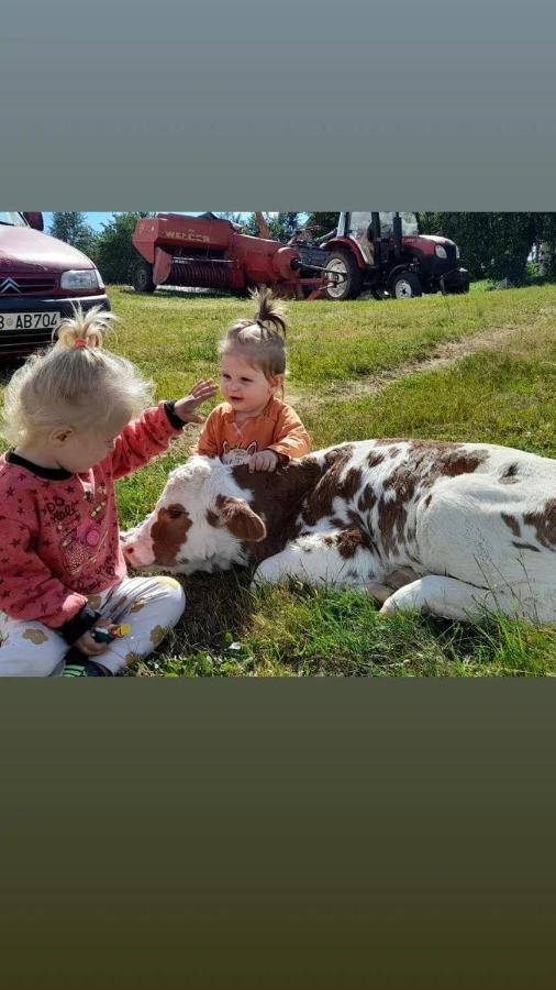 Organic Family Farm Hotell Žabljak Exteriör bild